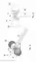 Fig. 09 - Roller massager