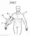Fig. 09 - Lim protection system