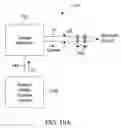 Fig. 28 - Processed water and therapeutic uses thereof
