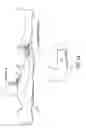 Fig. 02 - Multifunctional telescopic monopolar/bipolar surgical device and method thereof