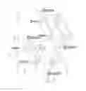 Fig. 29 - Revisable anterior cervical plating system
