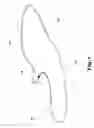 Fig. 02 - Metallic clamp for surgical applications