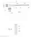Fig. 15 - METHODS AND DEVICES FOR TREATING FRACTURED AND/OR DISEASED BONE
