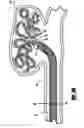 Fig. 06 - Stretch resistant embolic coil delivery system with mechanical release mechanism