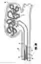 Fig. 08 - Stretch resistant embolic coil delivery system with mechanical release mechanism