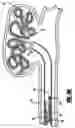 Fig. 08 - Stretch resistant embolic coil delivery system with mechanical release mechanism