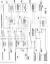 Fig. 06 - Pulsed electromagnetic energy treatment apparatus and method