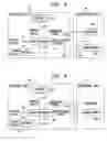 Fig. 04 - Method and apparatus for stimulating the sphenopalatine ganglion to modify properties of the BBB and cerebral blood flow