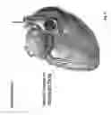 Fig. 12 - Methods and devices for mapping the ventricle for pacing lead placement and therapy delivery