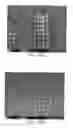 Fig. 13 - Dealloyed nanoporous stents