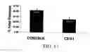 Fig. 14 - Dealloyed nanoporous stents