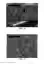 Fig. 15 - Dealloyed nanoporous stents