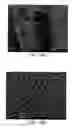 Fig. 13 - Nanoporous stents with magnesium leaching