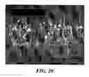 Fig. 16 - Nanoporous stents with magnesium leaching