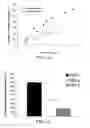 Fig. 12 - Nanoporous stents with improved radiolucency