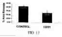 Fig. 14 - Nanoporous stents with improved radiolucency