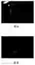 Fig. 04 - Method of operation for a vision-based occupant classification system