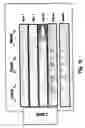 Fig. 13 - Apparatus and method for the ozone preservation of crops
