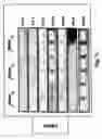 Fig. 14 - Apparatus and method for the ozone preservation of crops