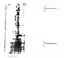 Fig. 01 - Predicting animal performance