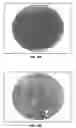 Fig. 09 - Semiconductor wafer inspection system