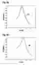 Fig. 05 - Method for determining internal pressure of a vehicle tire