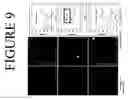 Fig. 11 - Automated surface distress measurement system