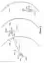 Fig. 02 - Segmented antenna system for offshore radio networks and method of using same