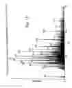 Fig. 09 - Method for the characterization of the three-dimensional structure of proteins employing mass spectrometric analysis and computational feedback modeling