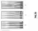 Fig. 26 - Audio signal separation device and method thereof