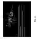 Fig. 12 - Atlas reporting
