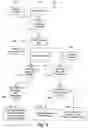 Fig. 10 - Systems and methods for personalized product promotion