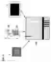 Fig. 02 - Method, apparatus and processes for real-time interactive online ordering and re-ordering and over the counter purchasing with rebate, saving, and investing processes