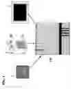 Fig. 02 - Method, apparatus and processes for real-time interactive online ordering and re-ordering and over the counter purchasing with rebate, saving, and investing processes