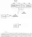 Fig. 07 - System and method of transaction settlement and supply chain financing