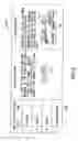 Fig. 10 - Universal knowledge information and data storage system