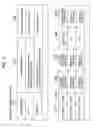 Fig. 05 - Query processing method for stream data processing systems