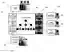 Fig. 01 - Multi-protocol multi-client equipment server