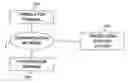 Fig. 01 - Translation support system and program thereof