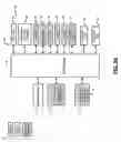 Fig. 05 - Adaptive storage system including hard disk drive with flash interface