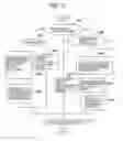 Fig. 16 - Data transfer virtualization system