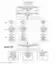 Fig. 06 - Digital lien service