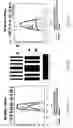 Fig. 07 - Method, program product and apparatus for performing double exposure lithography