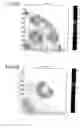 Fig. 09 - Method of identifying an extreme interaction pitch region, methods of designing mask patterns and manufacturing masks, device manufacturing methods and computer programs