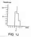 Fig. 11 - Register and active element machines: commands, programs, simulators and translators