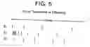 Fig. 15 - Register and active element machines: commands, programs, simulators and translators