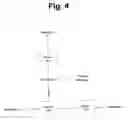 Fig. 05 - Dynamic process recovery in a distributed environment