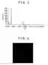 Fig. 04 - Optical disc apparatus and control method including an excess detection mode