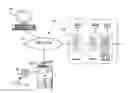 Fig. 01 - Management of physical security credentials at a multi-function device