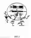 Fig. 02 - Multimodality imaging of reporter gene expression using a novel fusion vector in living cells and animals